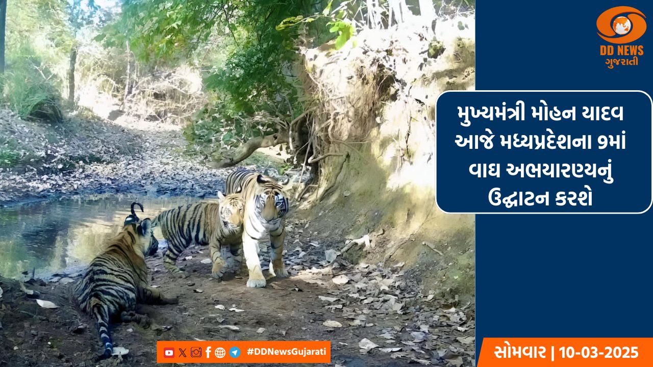 રશિયામાં મુખ્યમંત્રીની અધ્યક્ષતામાં હીરા ઉદ્યોગના સેમિનારનું આયોજન કરવામાં આવ્યું