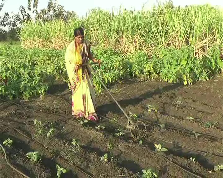 નર્મદામાં 10 પાસ મહિલા ખેડૂતે 3 એકરમાં કરી સજીવ ખેતી 