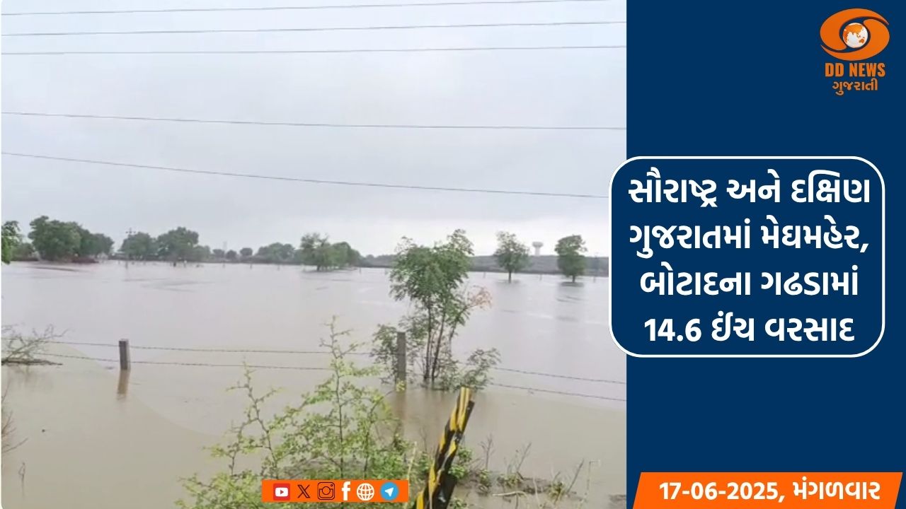 લાંબા વિરામ બાદ રાજ્યમાં મેઘ મહેર, જગતનો તાત ખુશ