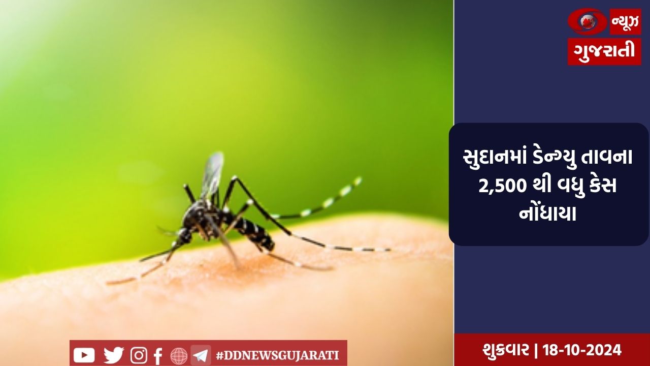 સુદાનમાં ડેન્ગ્યુ તાવના 2,500 થી વધુ કેસ નોંધાયા