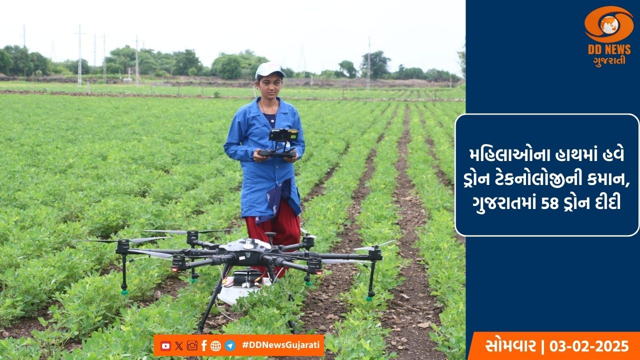 ડ્રોન કેમેરાથી રખાશે ગીરના સિંહોની દેખરેખ, વન વિભાગ બન્યું સજ્જ