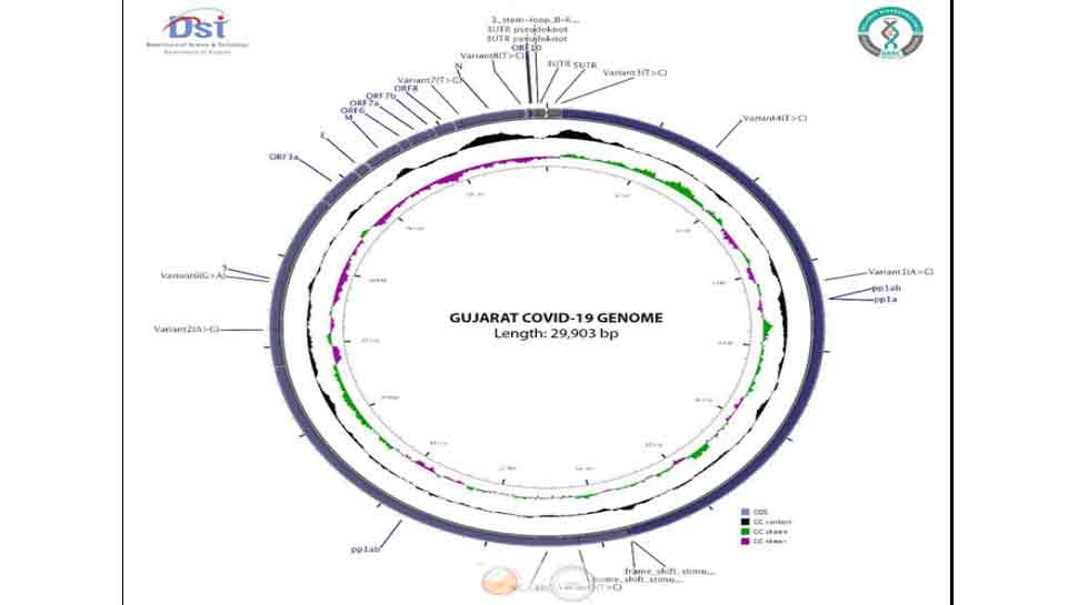 કોરોના વાયરસના જીનોમ સિકવન્સને શોધી કાઢવુ એ વૈજ્ઞાનિકોની અગત્યની ઉપલબ્ધિ, વાંચો વાયરસના મૂળ સુધી