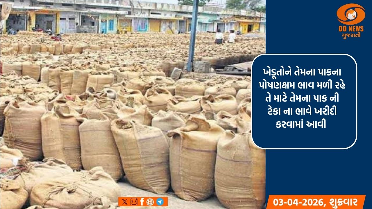 અરવલ્લી જિલ્લામાં ટેકાના ભાવે ચણા અને રાયડાની ખરીદી