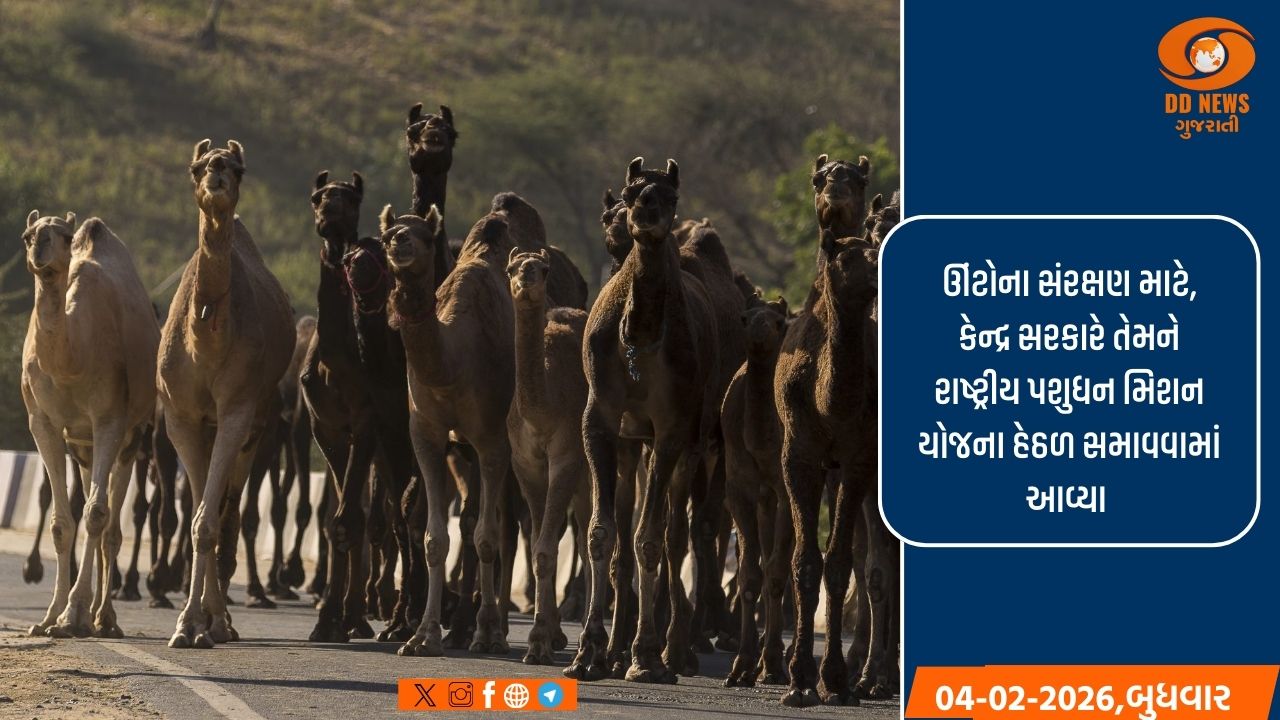 ઊંટોના સંરક્ષણ અને વિકાસ માટે સહાય, 2014 માં ઊંટને રાજ્ય પ્રાણી તરીકે જાહેર કરવામાં આવ્યુ