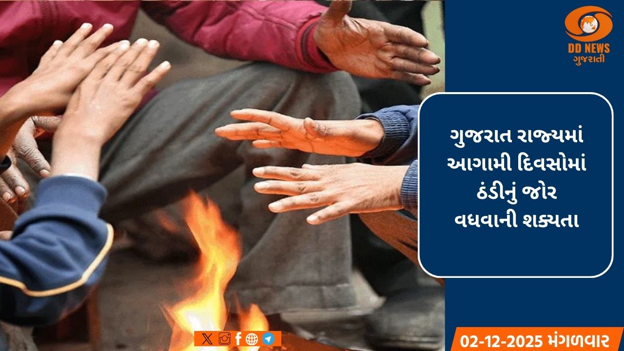 ગુજરાતમાં ઠંડીનું જોર વધશે: તાપમાનનો પારો ગગડ્યો