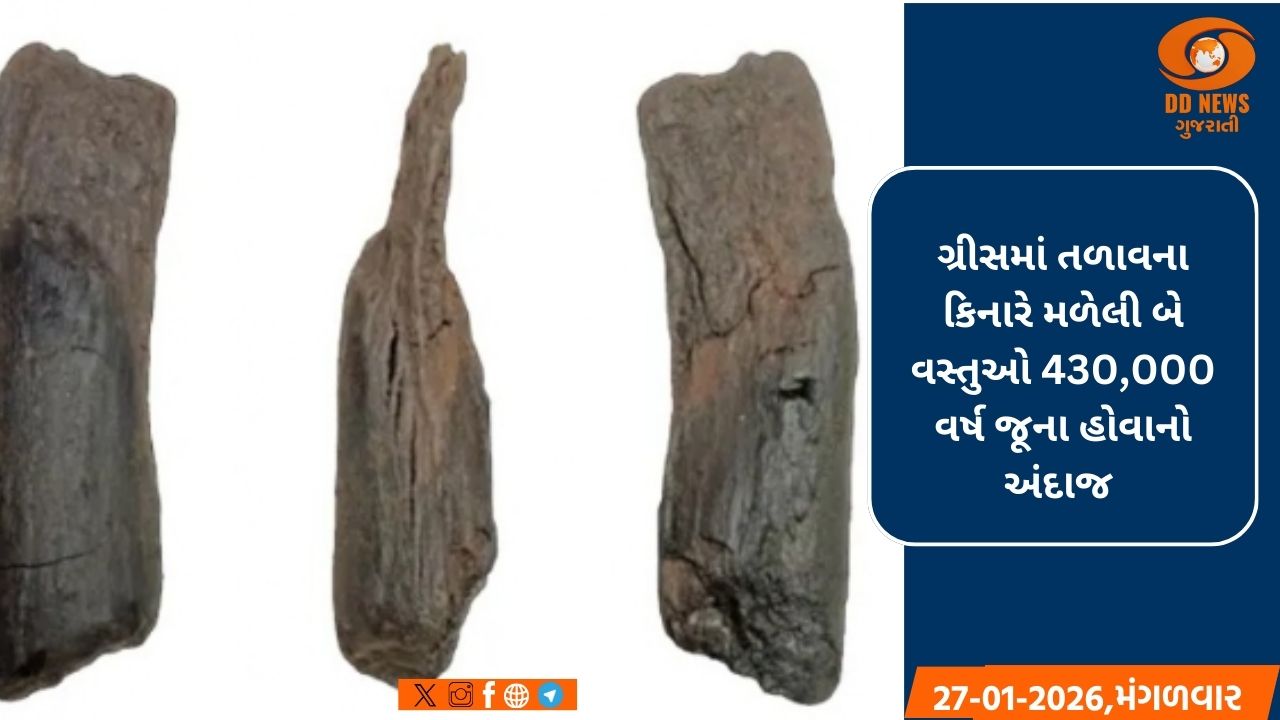 ગ્રીસમાં 430,000 વર્ષ જૂના લાકડાના ઓજારો મળ્યા
