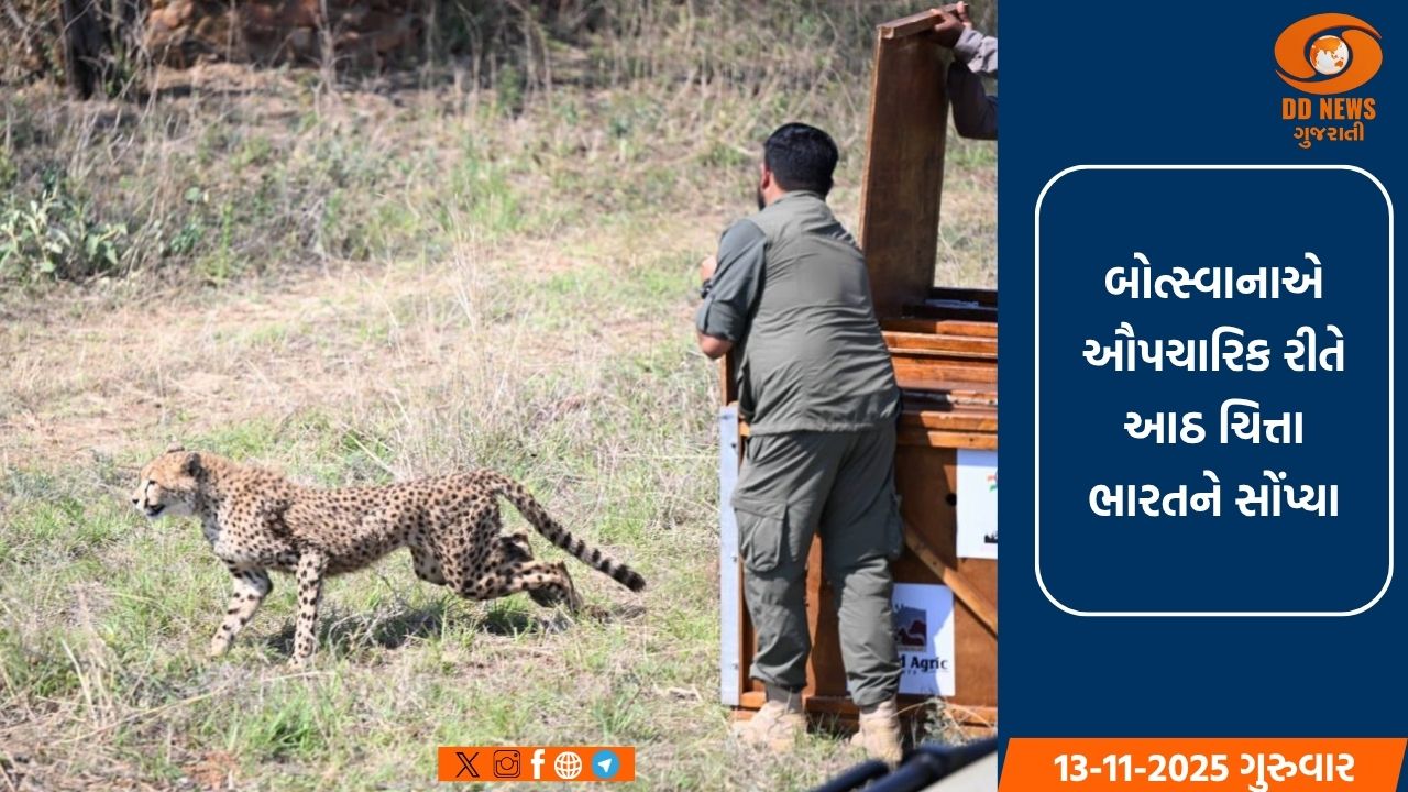 'પ્રોજેક્ટ ચિત્તા' હેઠળ બોત્સ્વાનાએ ભારતને આઠ ચિત્તા સોંપ્યા