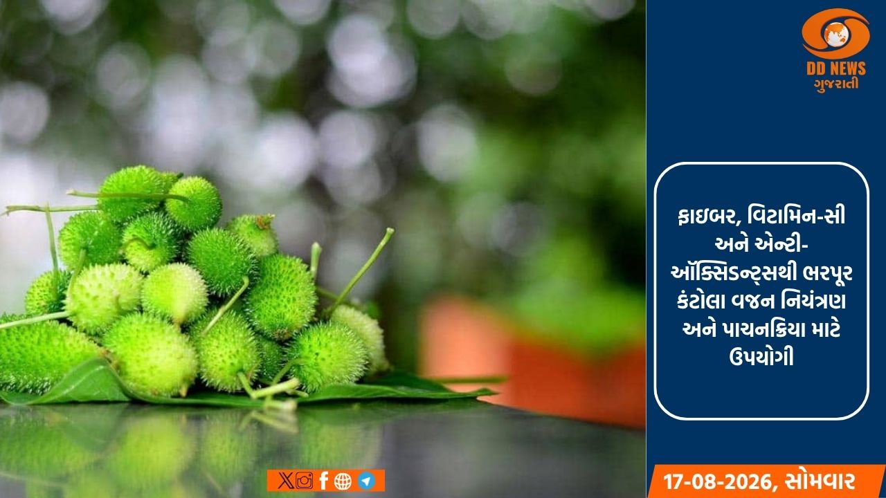 ચોમાસામાં કંટોલાથી મેળવો સ્વાસ્થ્યનો લાભ
