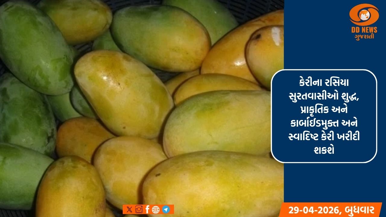 સુરતમાં વાઇબ્રન્ટ ગુજરાત રિઝનલ કોન્ફરન્સ અંતર્ગત તા.1 થી 5 મે દરમિયાન 'મેન્ગો ફેસ્ટિવલ' અને પ્રદર્શન યોજાશે