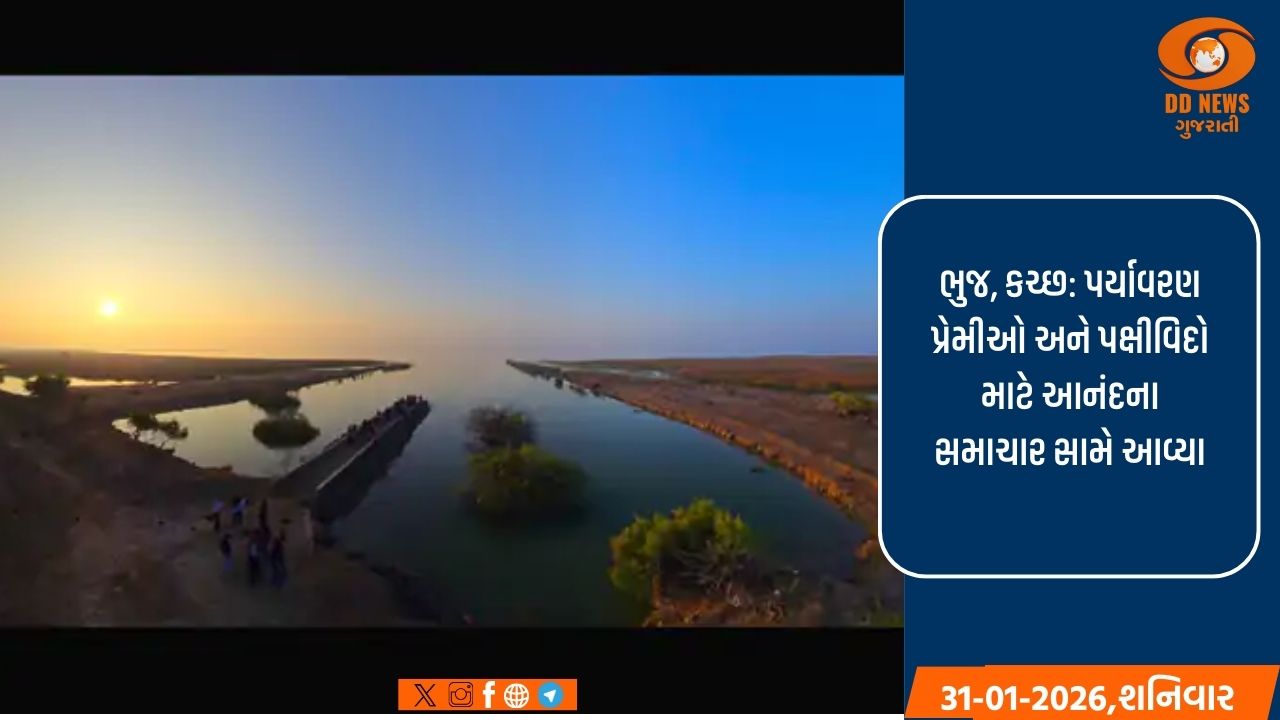  પર્યાવરણ ક્ષેત્રે ગુજરાતની મોટી સિદ્ધિ: કચ્છના 'છારી ઢંઢ' ને મળ્યો રામસર સાઈટનો દરજ્જો