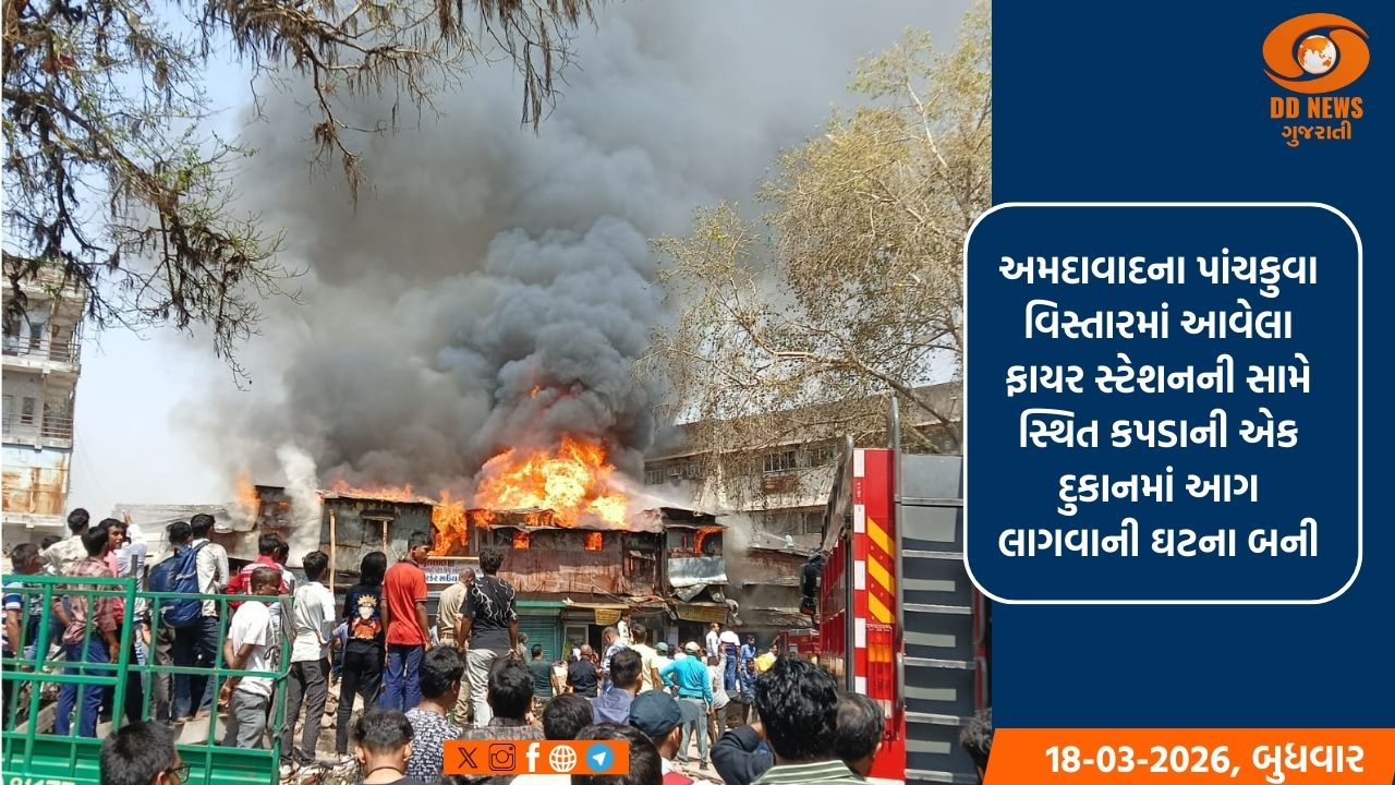 પાંચકુવા ખાતે ભીષણ આગ: 20થી વધુ દુકાનો આગની ઝપેટમાં, ફાયર વિભાગે મેળવ્યો ઝડપી કાબૂ 