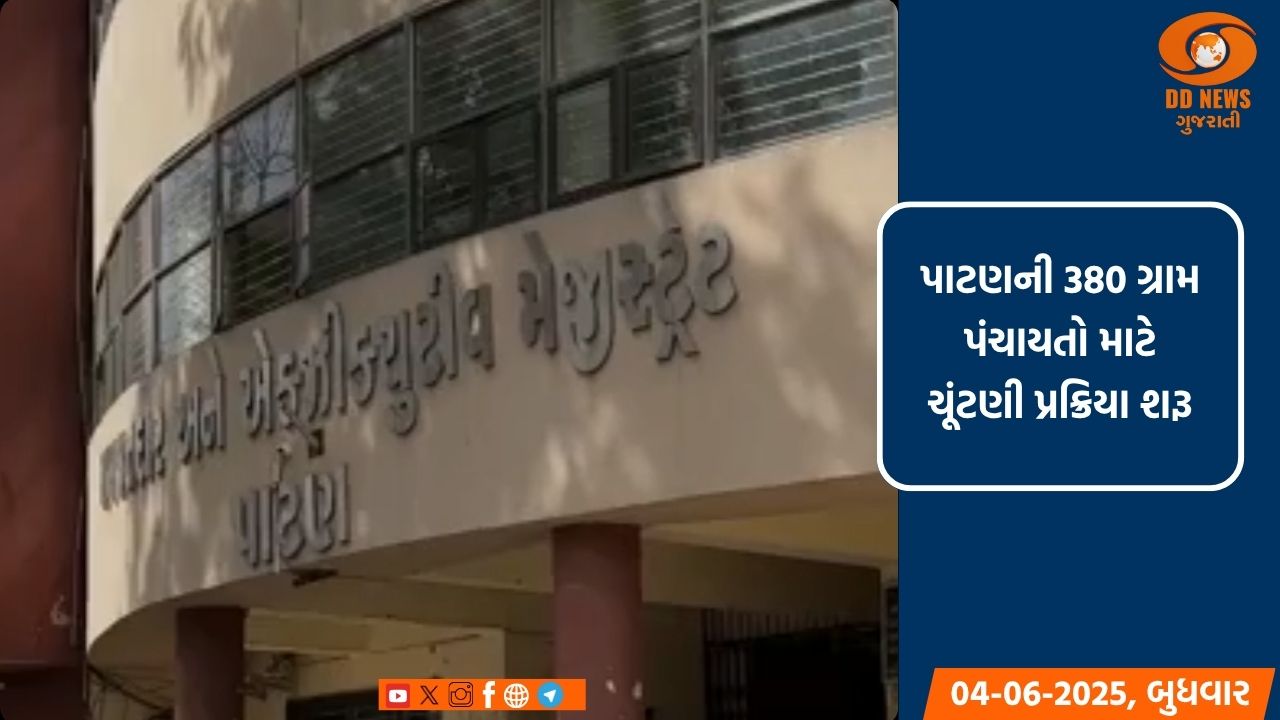 પાટણની 380 ગ્રામ પંચાયતો માટે ચૂંટણી પ્રક્રિયા શરૂ, સરપંચ પદ માટે 9 અને સભ્ય પદ માટે 2 ફોર્મ ભરાયા