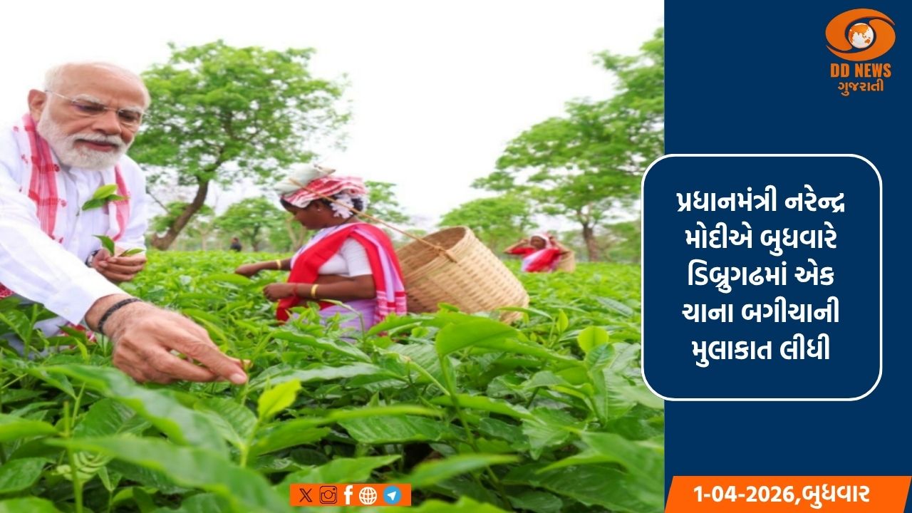 પ્રધાનમંત્રી મોદી ચાના બગીચાની મુલાકાત લીધી 