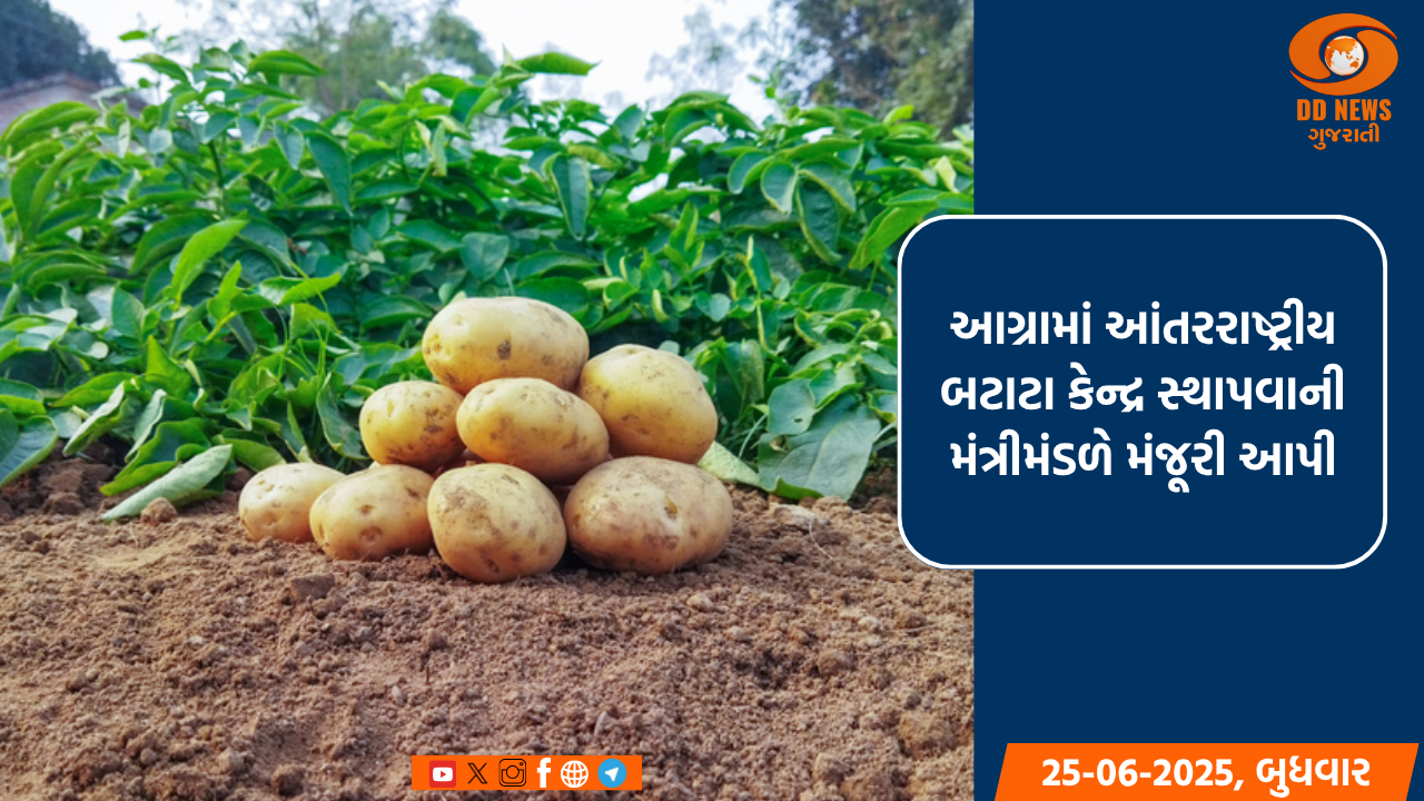 આગ્રામાં આંતરરાષ્ટ્રીય બટાટા કેન્દ્ર સ્થાપવાની મંત્રીમંડળે મંજૂરી આપી
