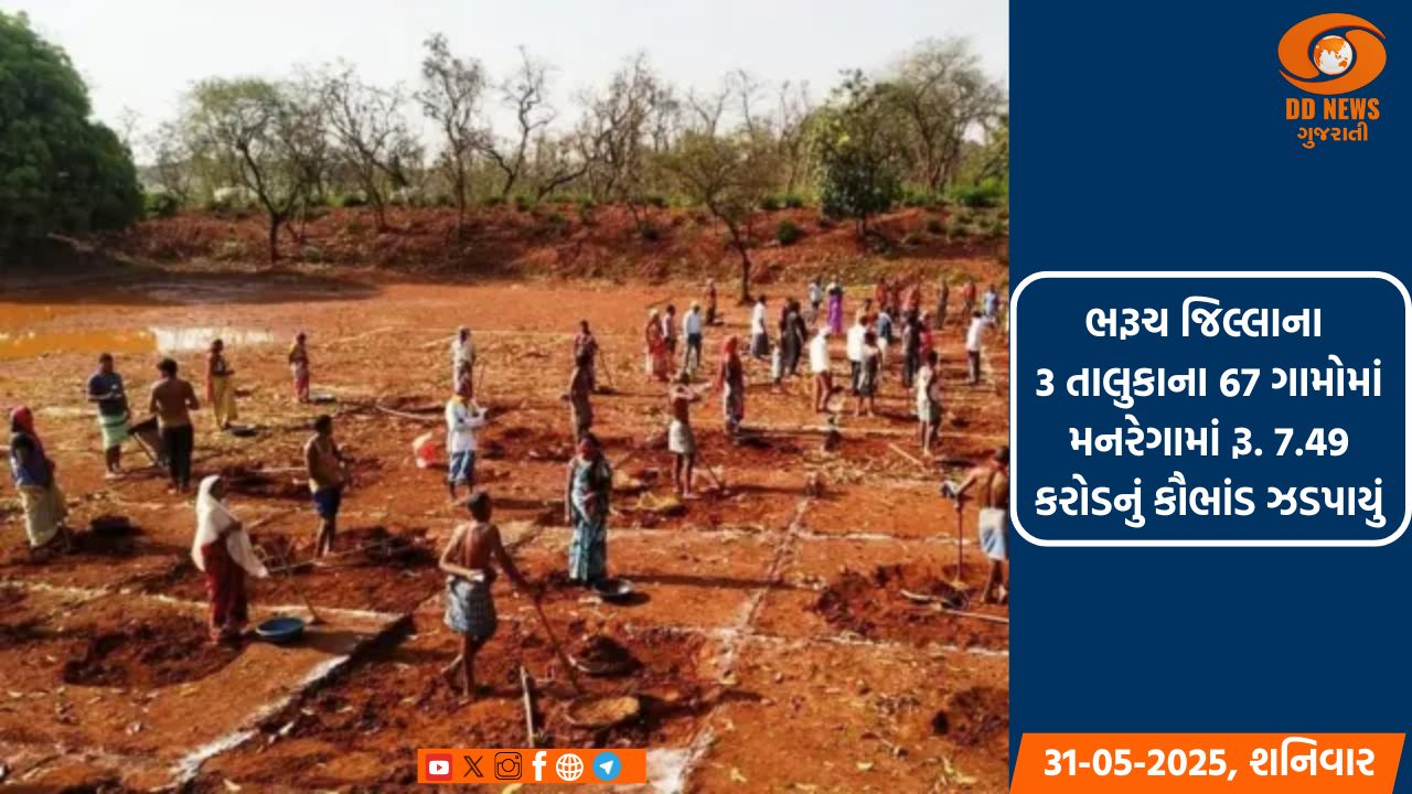 ભરૂચ જિલ્લાના 3 તાલુકાના 67 ગામોમાં મનરેગામાં રૂ. 7.49 કરોડનું કૌભાંડ ઝડપાયું