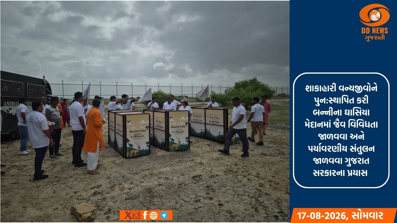 બન્નીના ગ્રાસલેન્ડમાં 20 કાળિયાર મુક્ત કરાયા