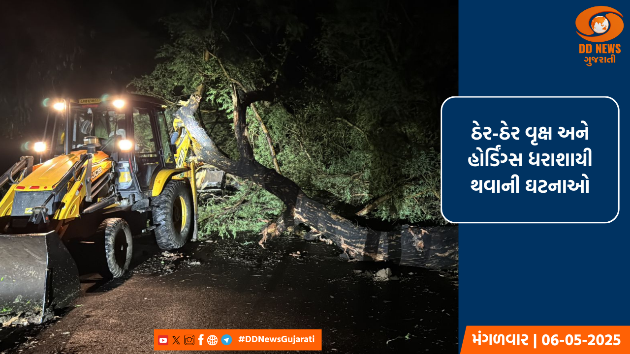 ગુજરાતમાં અચાનક વાતાવરણમાં આવ્યો પલટો, ભરઉનાળે પડ્યો વરસાદ 