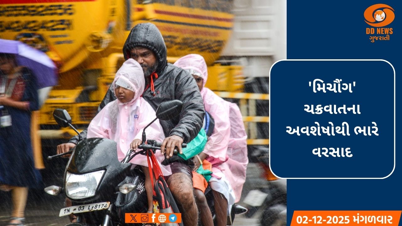 ભારે વરસાદ બાદ તમિલનાડુના ચાર જિલ્લાઓમાં શાળાઓ અને કોલેજો બંધ કરવામાં આવી
