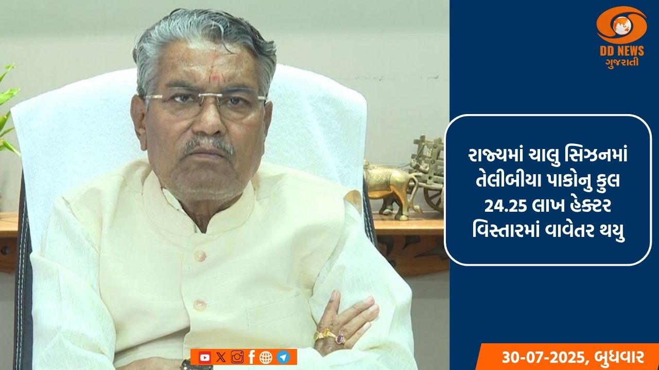 ગુજરાતમાં સાર્વત્રિક વરસાદ થતા ખેડૂતોએ ખરીફ પાકોનું કર્યું પુષ્કળ વાવેતર : કૃષિ મંત્રી રાઘવજી પટેલ