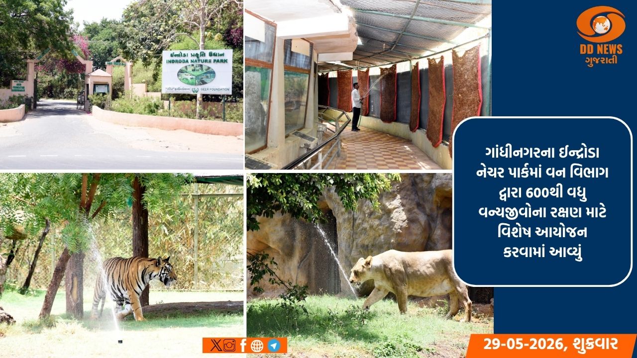 ગાંધીનગર: ઈન્દ્રોડા નેચર પાર્કમાં વન્યજીવોને ગરમીથી બચાવવા ખાસ વ્યવસ્થા