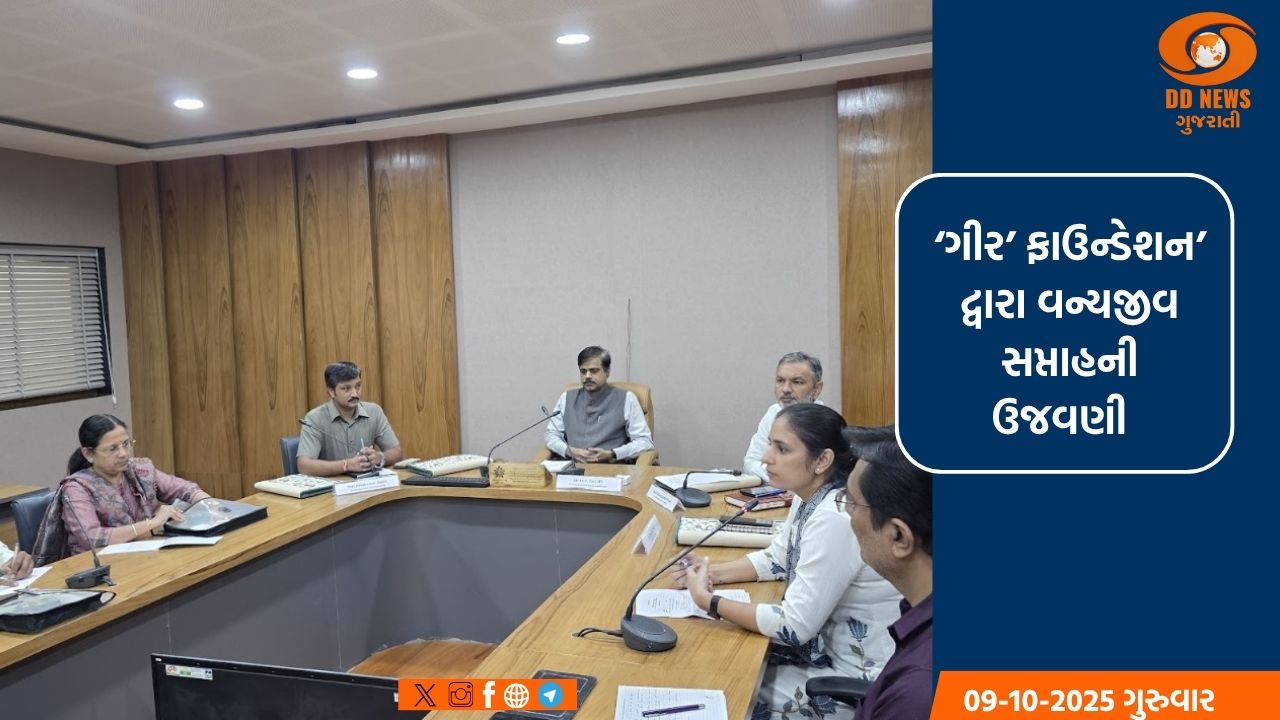 ‘ગીર’ ફાઉન્ડેશન દ્વારા વન્યજીવ સપ્તાહની સફળ ઉજવણી: 10 હજારથી વધુ નાગરિકો સહભાગી 