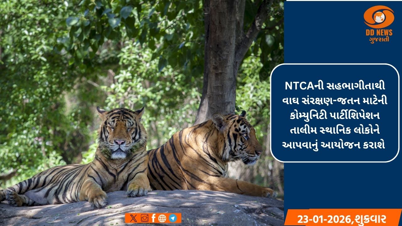 ગુજરાતમાં વાઘના આગમન બાદ તેના સંરક્ષણ અને સંવર્ધન માટે વન વિભાગ સજ્જ- વન મંત્રી અર્જુન મોઢવાડિયા