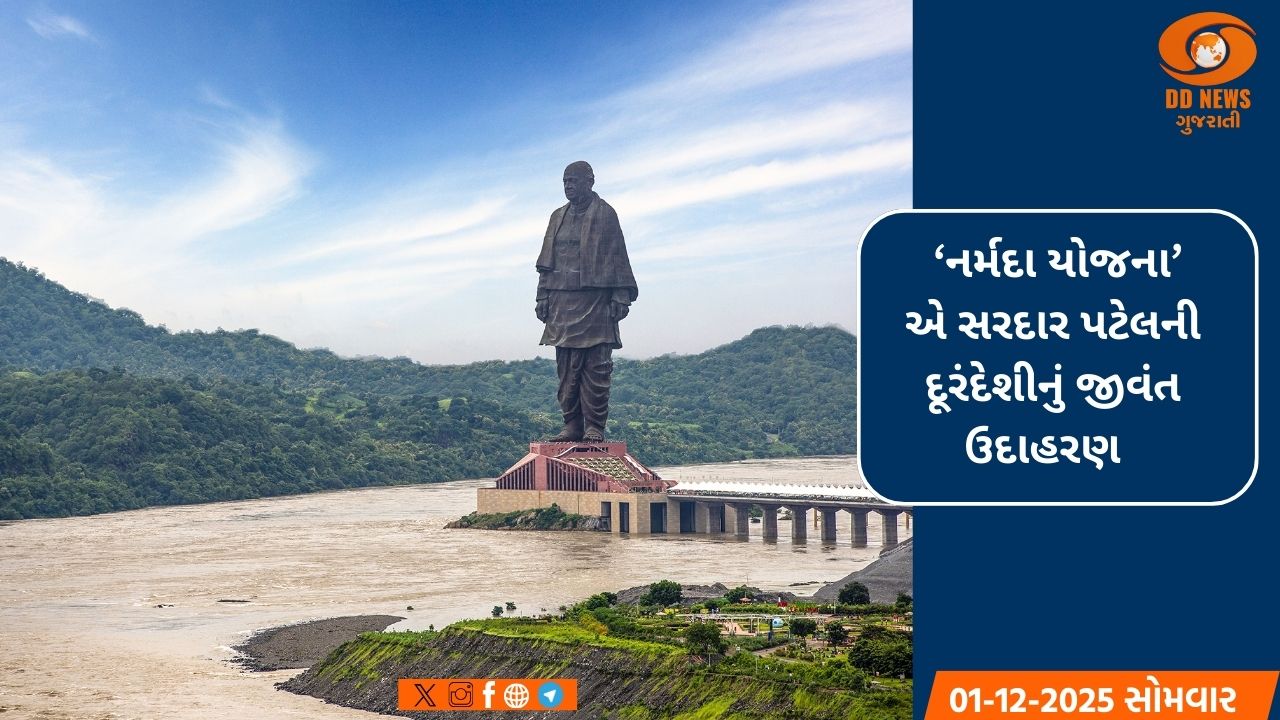સરદાર પટેલની દૂરંદેશીનું જીવંત પ્રતીક: ગુજરાતની 'જીવાદોરી' નર્મદા યોજના