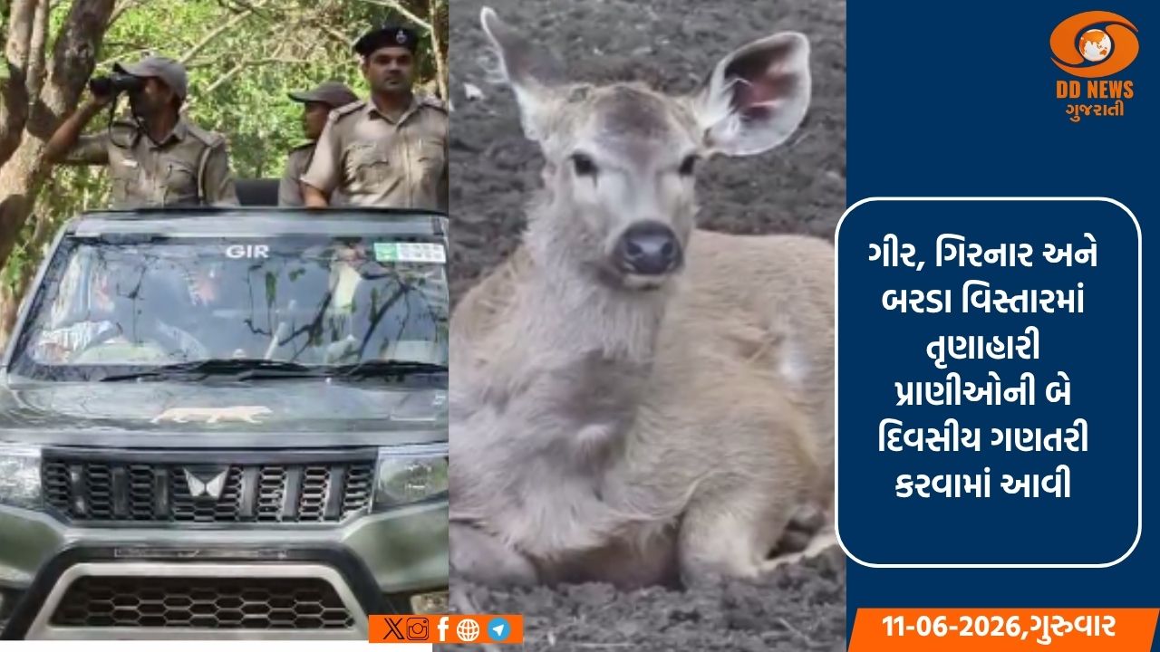 ગીર-ગિરનાર અને બરડામાં તૃણાહારી પ્રાણીઓની વસ્તી ગણતરી સંપન્ન