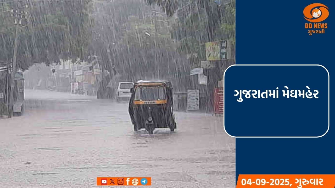ગુજરાતમાં મેઘમહેર: સિઝનનો 92% થી વધુ વરસાદ, 113 ડેમ હાઈએલર્ટ પર