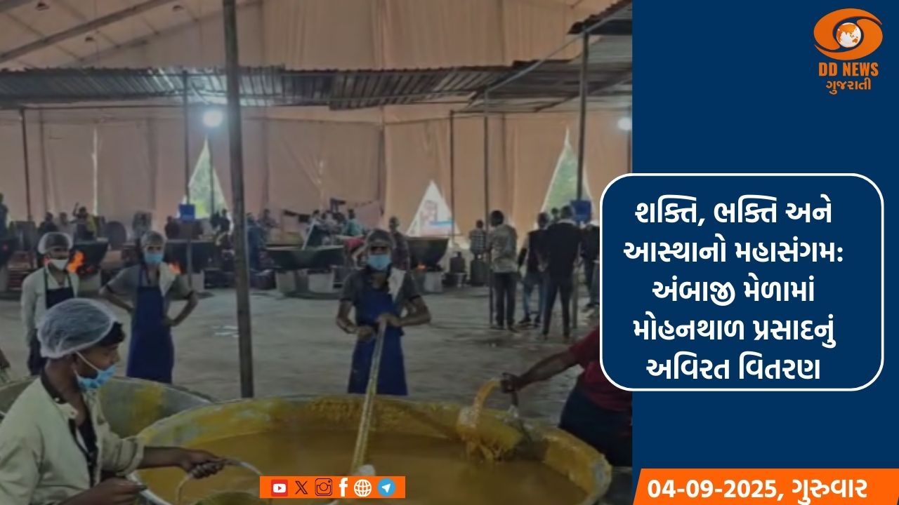 શક્તિ, ભક્તિ અને આસ્થાનો મહાસંગમ: અંબાજી મેળામાં મોહનથાળ પ્રસાદનું અવિરત વિતરણ