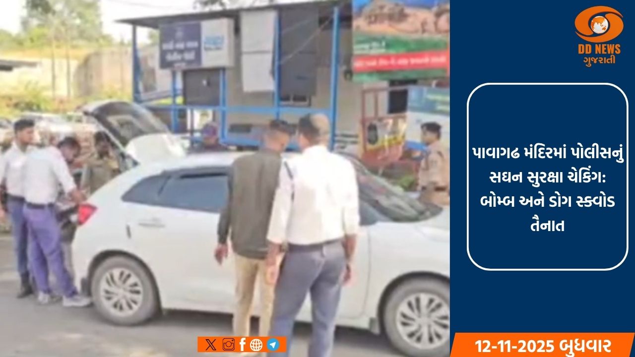 પાવાગઢ મંદિરમાં પોલીસનું સઘન સુરક્ષા ચેકિંગ: બોમ્બ અને ડોગ સ્ક્વોડ તૈનાત