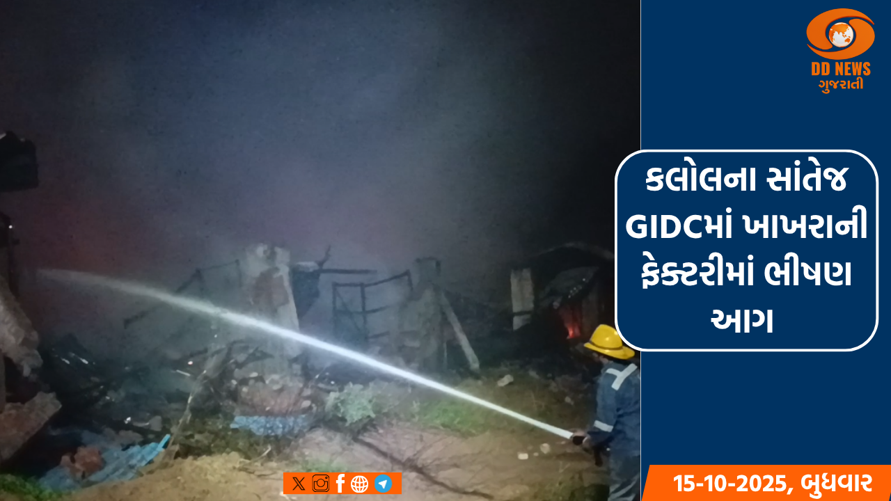 કલોલના સાંતેજ GIDCમાં ખાખરાની ફેક્ટરીમાં ભીષણ આગ, લાખોનો સામાન બળીને ખાખ