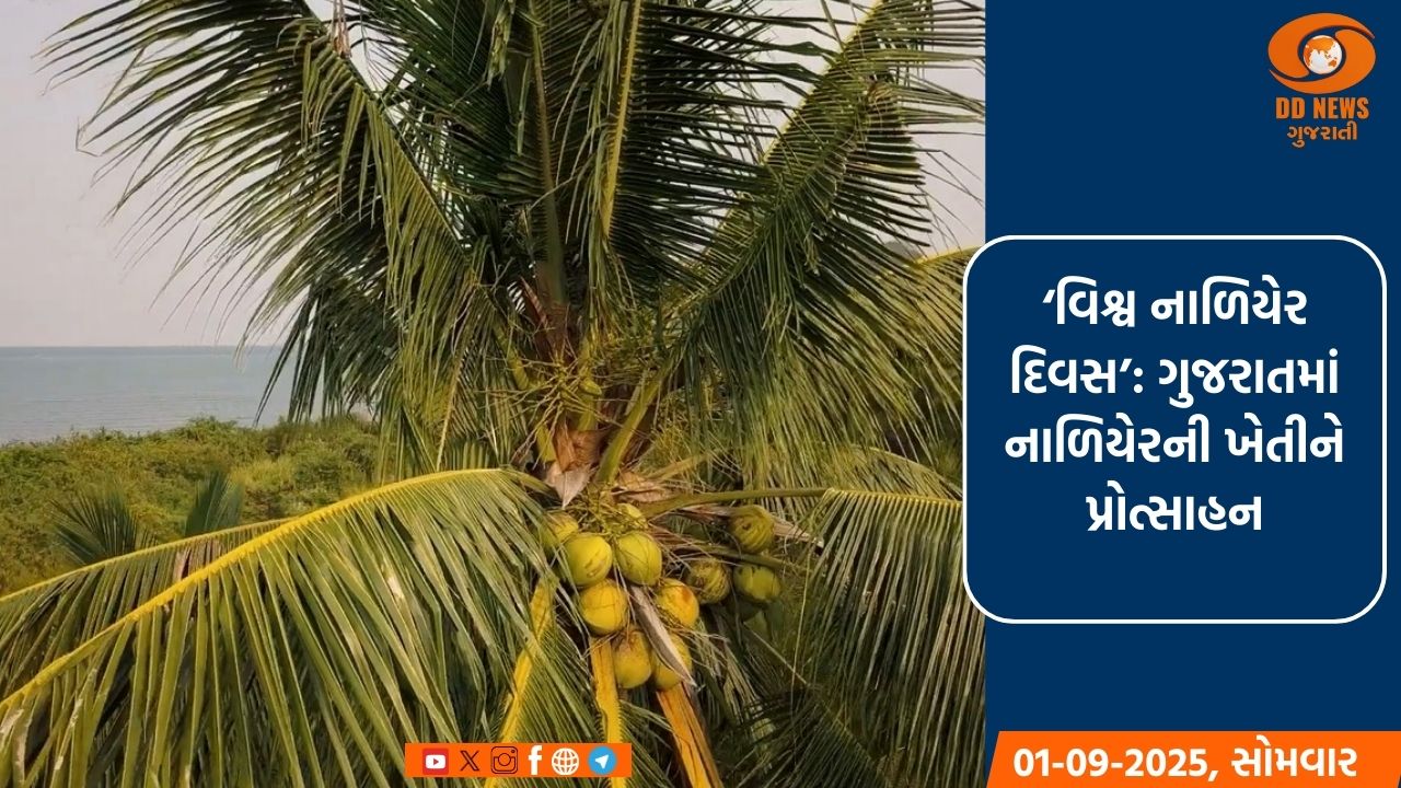 ‘વિશ્વ નાળિયેર દિવસ’: ગુજરાતમાં નાળિયેરની ખેતીને પ્રોત્સાહન