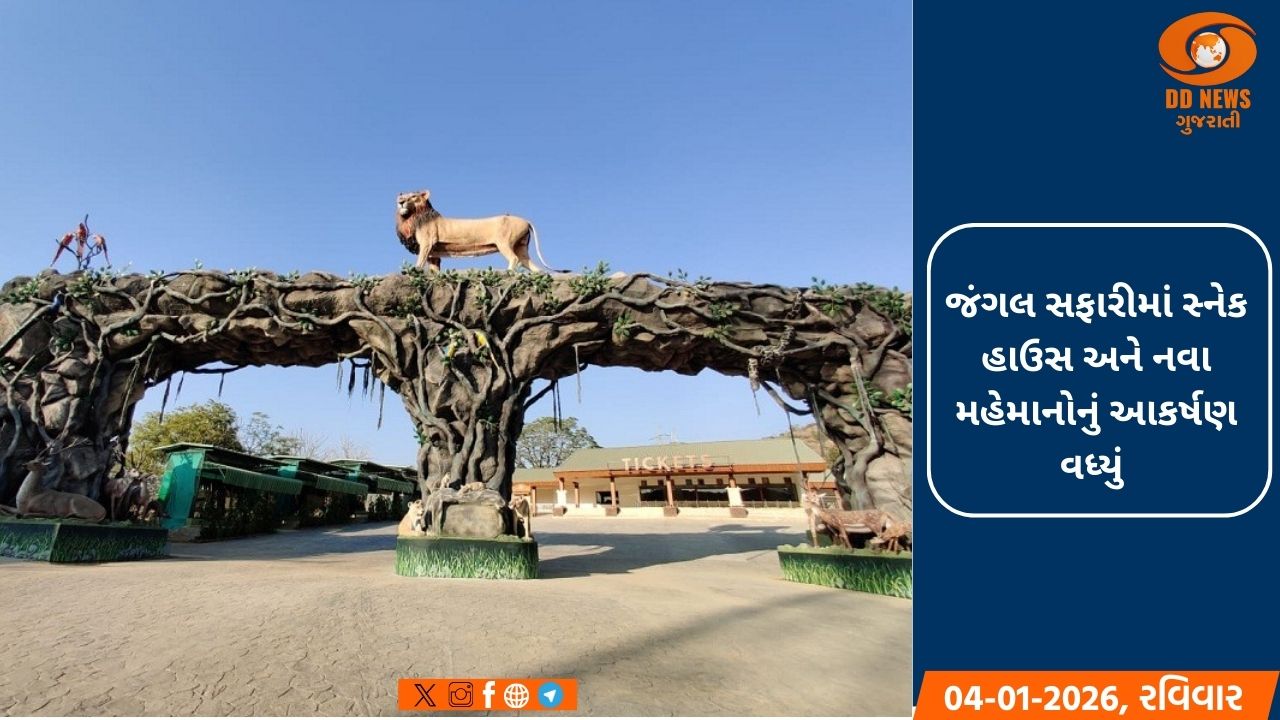 સ્ટેચ્યૂ ઓફ યુનિટી બાદ જંગલ સફારી બની પ્રવાસીઓનું સૌથી મોટું આકર્ષણ