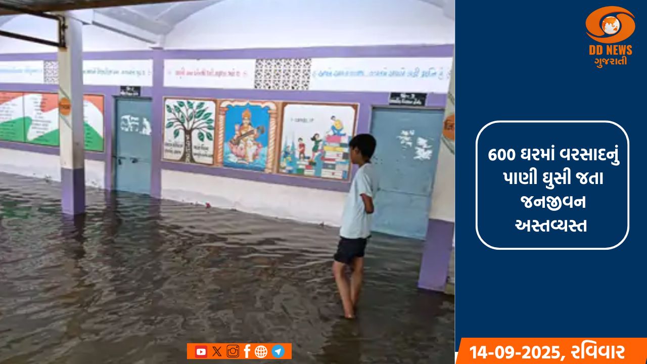 પાટણમાં ભારે વરસાદથી તારાજી