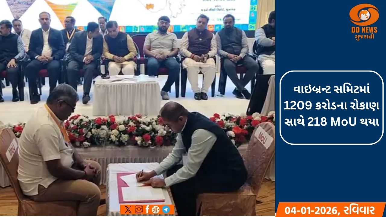 જૂનાગઢમાં જિલ્લા કક્ષાના વાઇબ્રન્ટ સમિટનું આયોજન