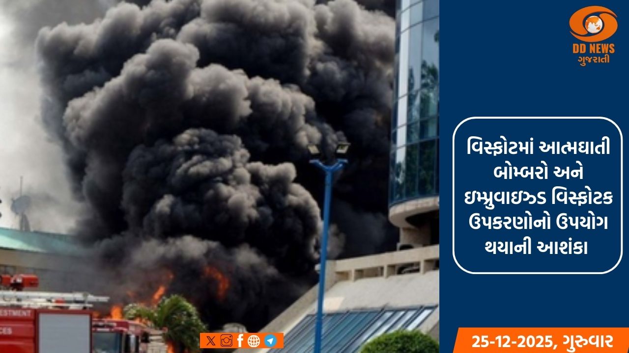 નાઇજીરીયા: મસ્જિદમાં વિસ્ફોટમાં ઓછામાં ઓછા 10 લોકોના મોત