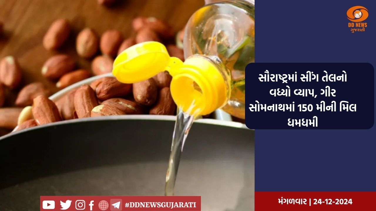 સૌરાષ્ટ્રમાં સીંગ તેલનો વધ્યો વ્યાપ, ગીર સોમનાથમાં 150 મીની મિલ ધમધમી