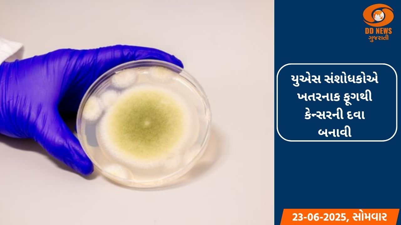 યુએસ સંશોધકોએ ખતરનાક ફૂગથી કેન્સરની દવા બનાવી
