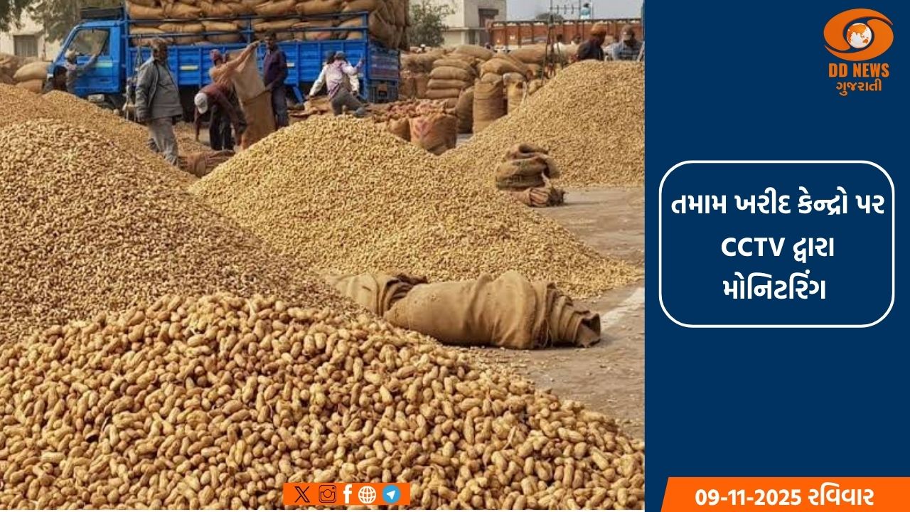 ગુજરાતમાં ટેકાના ભાવે ખરીદી શરૂ,ખેડૂતોમાં ખુશીનો માહોલ