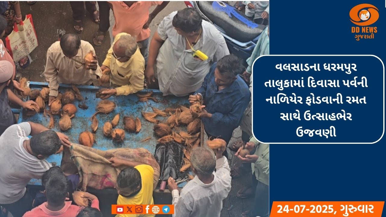 વલસાડના ધરમપુર તાલુકામાં દિવાસા પર્વની નાળિયેર ફોડવાની રમત સાથે ઉત્સાહભેર ઉજવણી