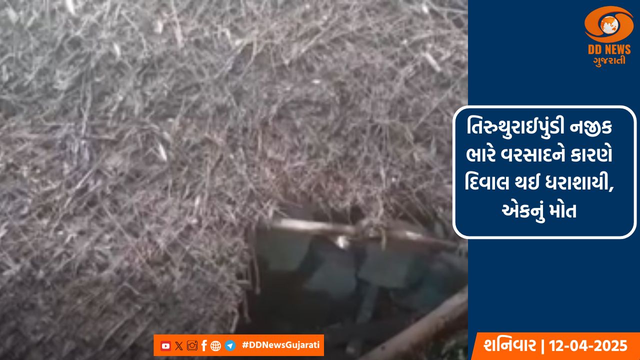 ભાજપે અભિનેતા સની દેઓલને પંજાબના ગુરૂદાસપુરથી આપી ટિકિટ