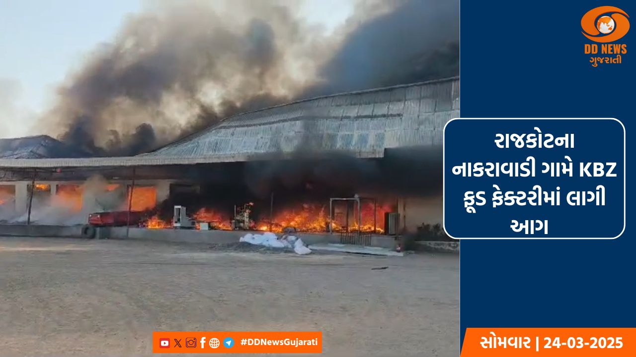 દિલ્હીની જનતા માટે આ વખતની ચુંટણી ખૂબ અગત્યની છે: અરવિંદ કેજરીવાલ