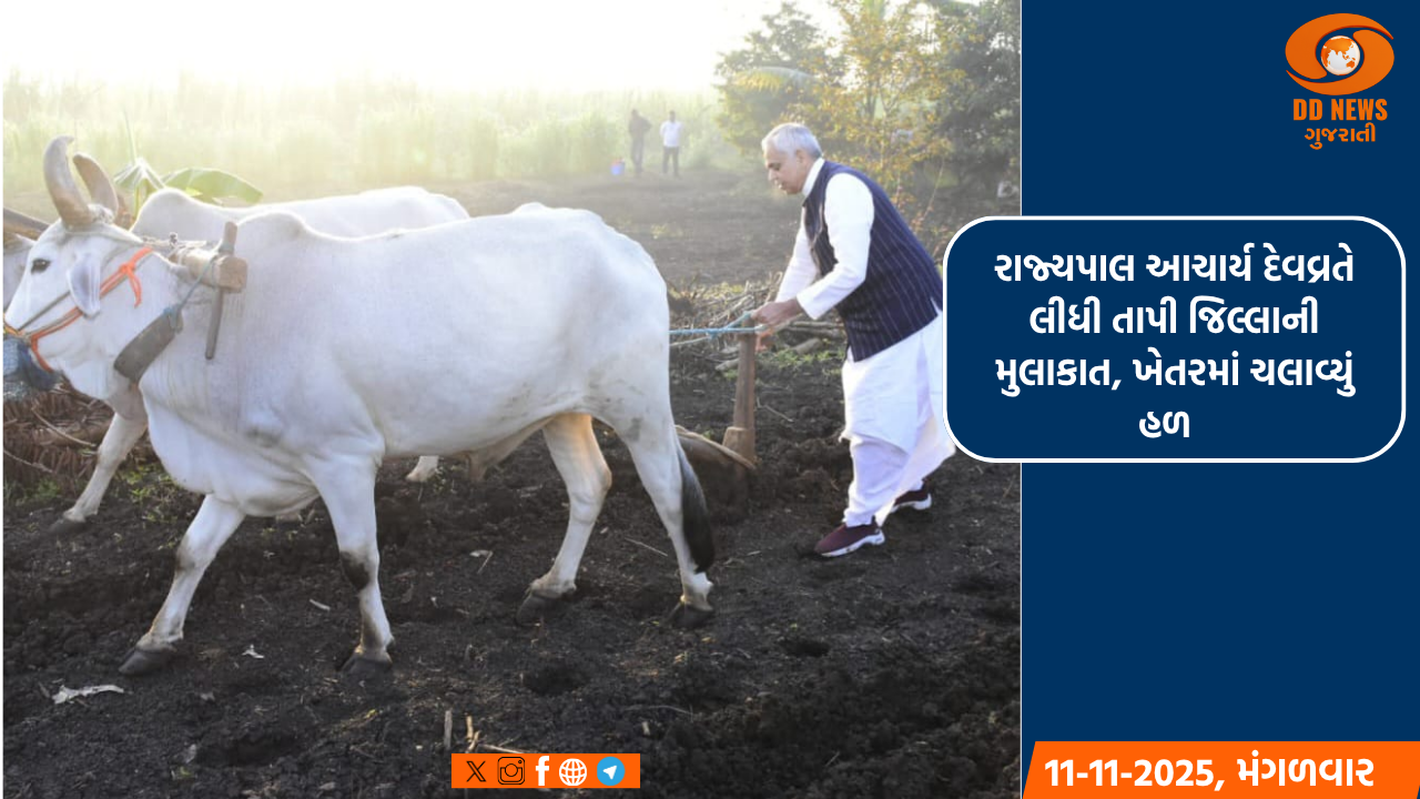 આહવા ખાતે 4 દિવસીય ડાંગ દરબારના ભાતીગળ લોકમેળાનો દબદબાભેર થયો પ્રારંભ