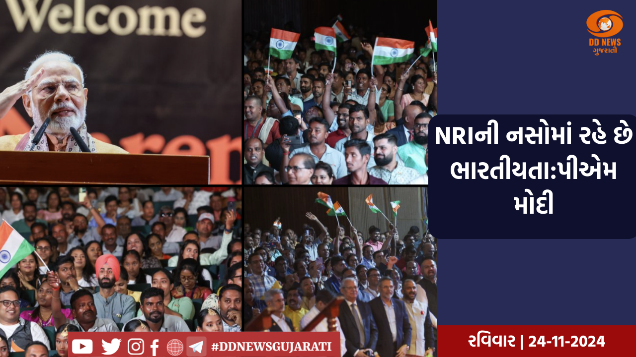 ગાંધીનગર મહાનગરપાલિકા દ્વારા રાયસણ વિસ્તારમાં મિયાવાકી પધ્ધતિથી વનીકરણની સફળ કામગીરી