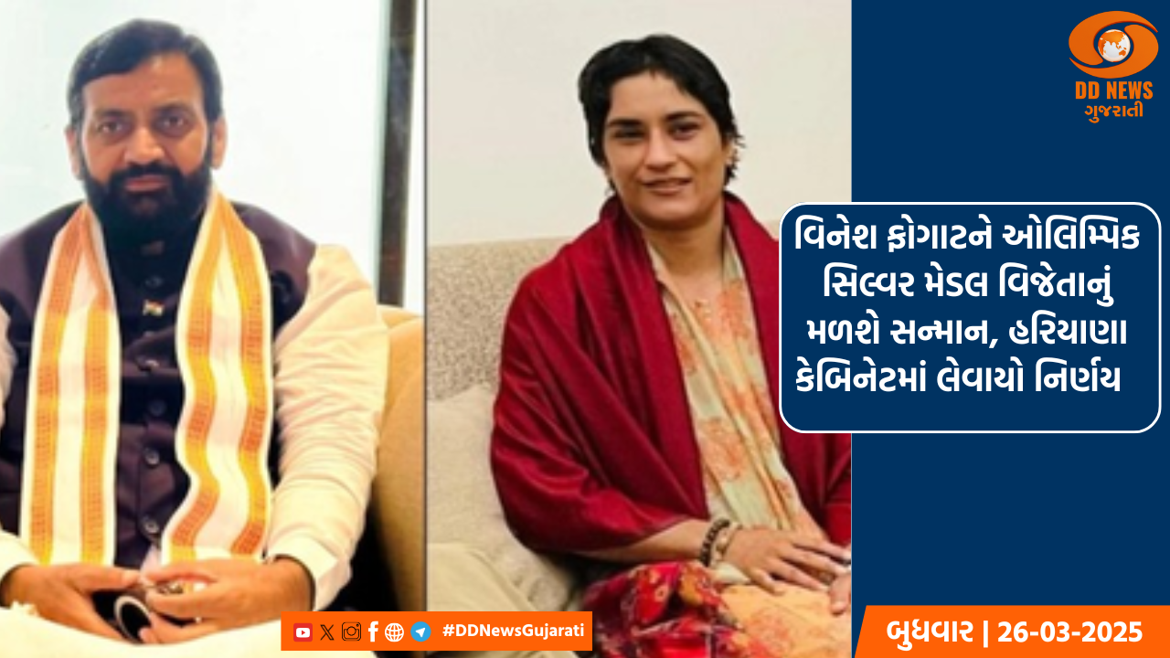 બાગાયતની સહાય મળતા આંબાનું વાવેતર વધ્યું, અમરેલીમાં શરૂ થયું આંબાનું વાવેતર