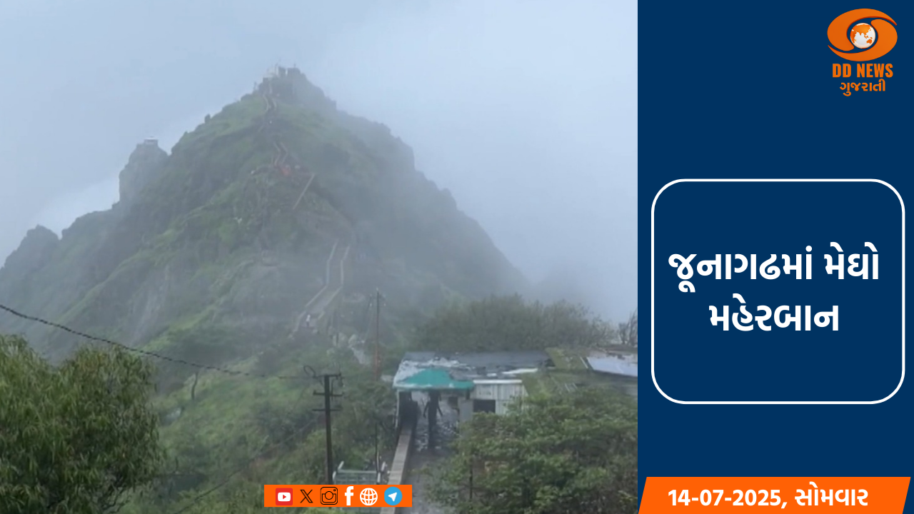 જૂનાગઢમાં મેઘો મહેરબાન: ગિરનાર-દાતાર પર લીલીછમ ચાદર, ડેમ છલકાયા!