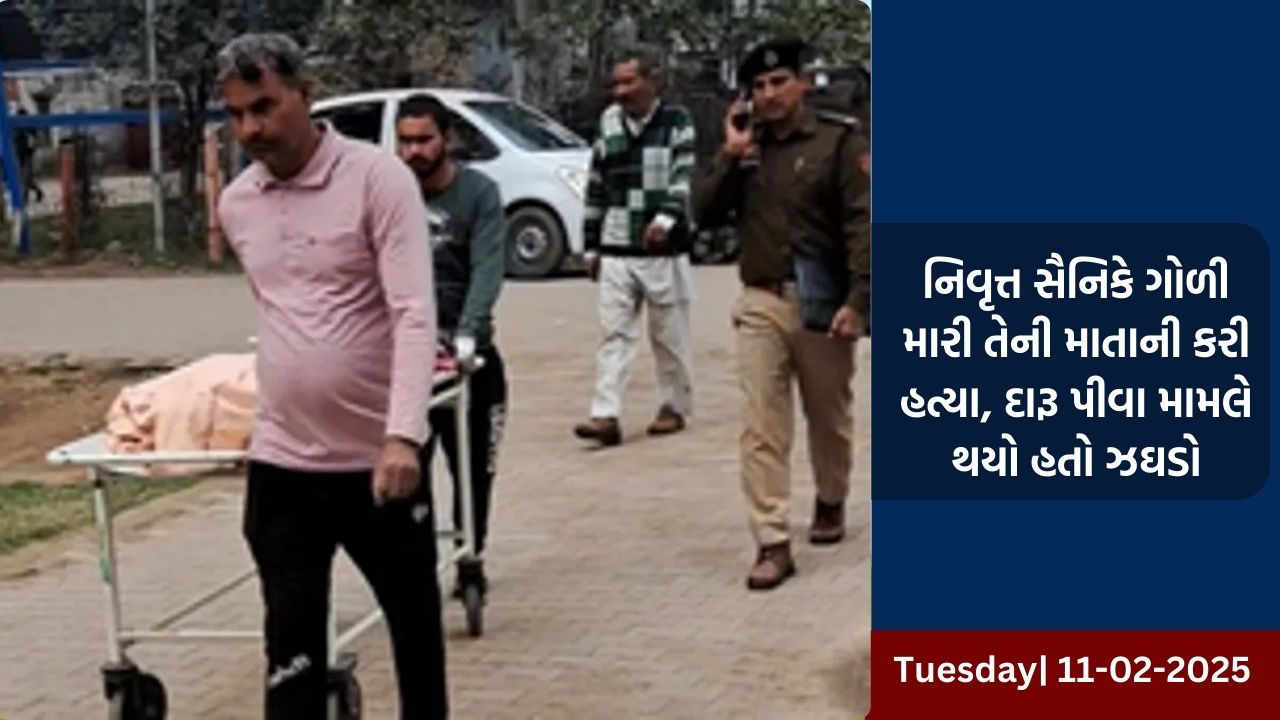 નિવૃત્ત સૈનિકે ગોળી મારી તેની માતાની કરી હત્યા, દારૂ પીવા મામલે થયો હતો ઝઘડો