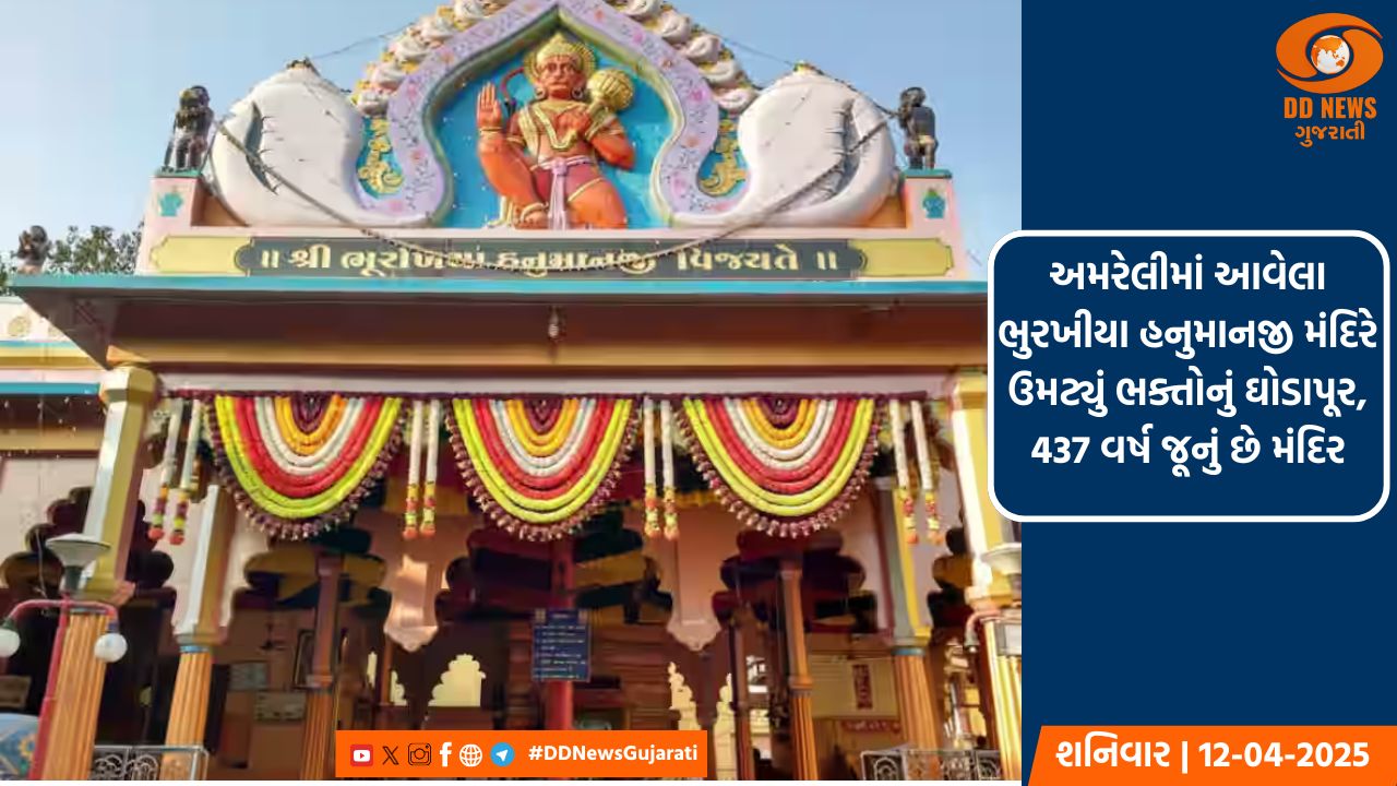 અમરેલીમાં આવેલા ભુરખીયા હનુમાનજી મંદિરે ઉમટ્યું ભક્તોનું ઘોડાપૂર, 437 વર્ષ જૂનું છે મંદિર