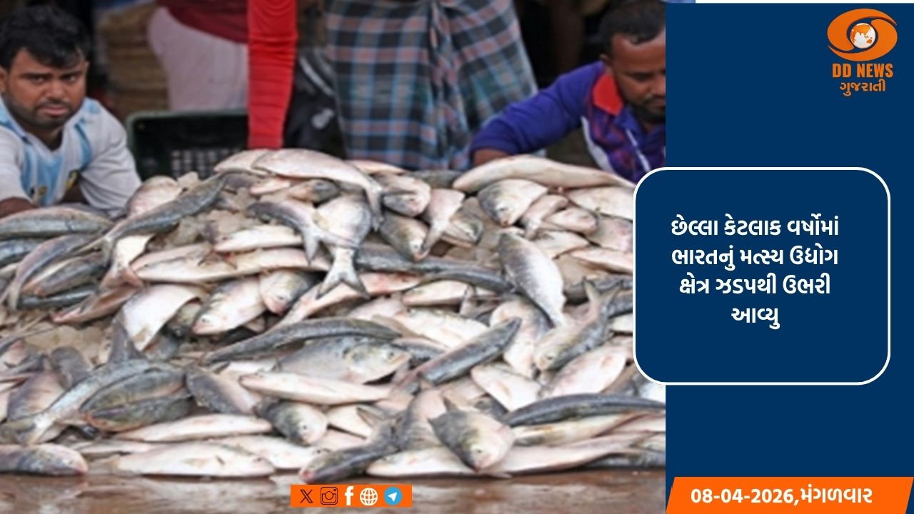 નાણાકીય વર્ષ 2025 માં ભારતમાં મત્સ્ય ઉત્પાદન 197.75 લાખ ટન સુધી પહોંચ્યું, રેકોર્ડ બનાવ્યો